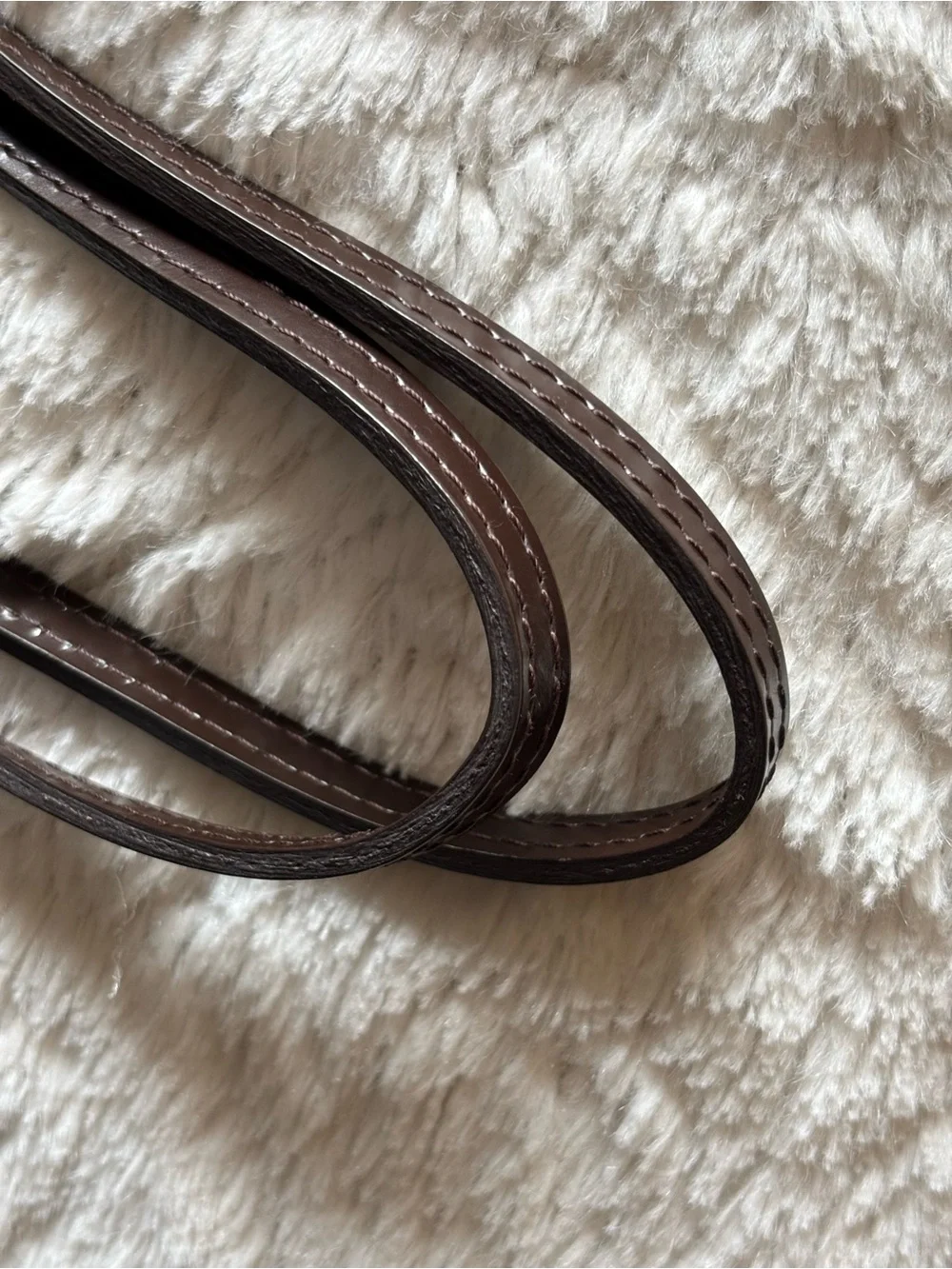 Louis Vuitton classic louis